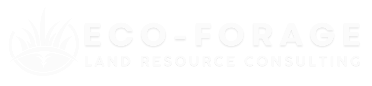 Eco-forage Limpopo Based land and ecological resource consulting company